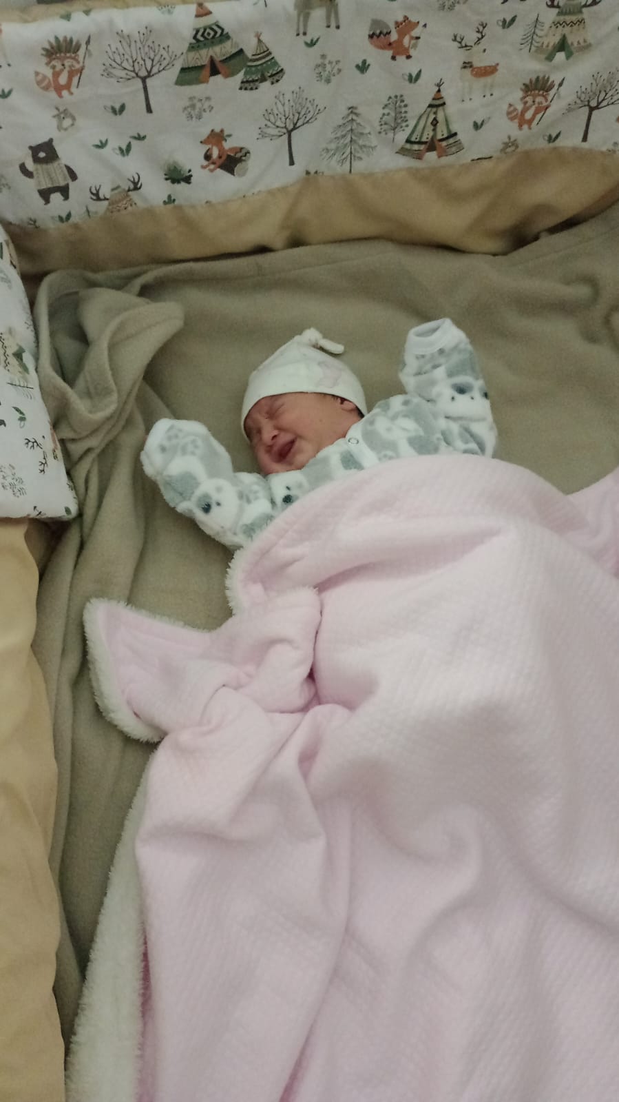 WhatsApp Image 2024-08-05 at 15.51.32.jpeg